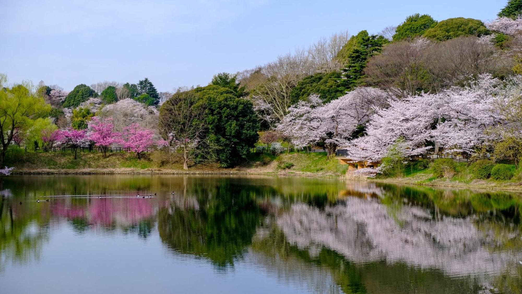 Toyoko Inn Yokohama Tsurumi Eki Higashi Guchi Εξωτερικό φωτογραφία
